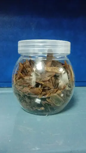 ضفرة (لسان عصفور)